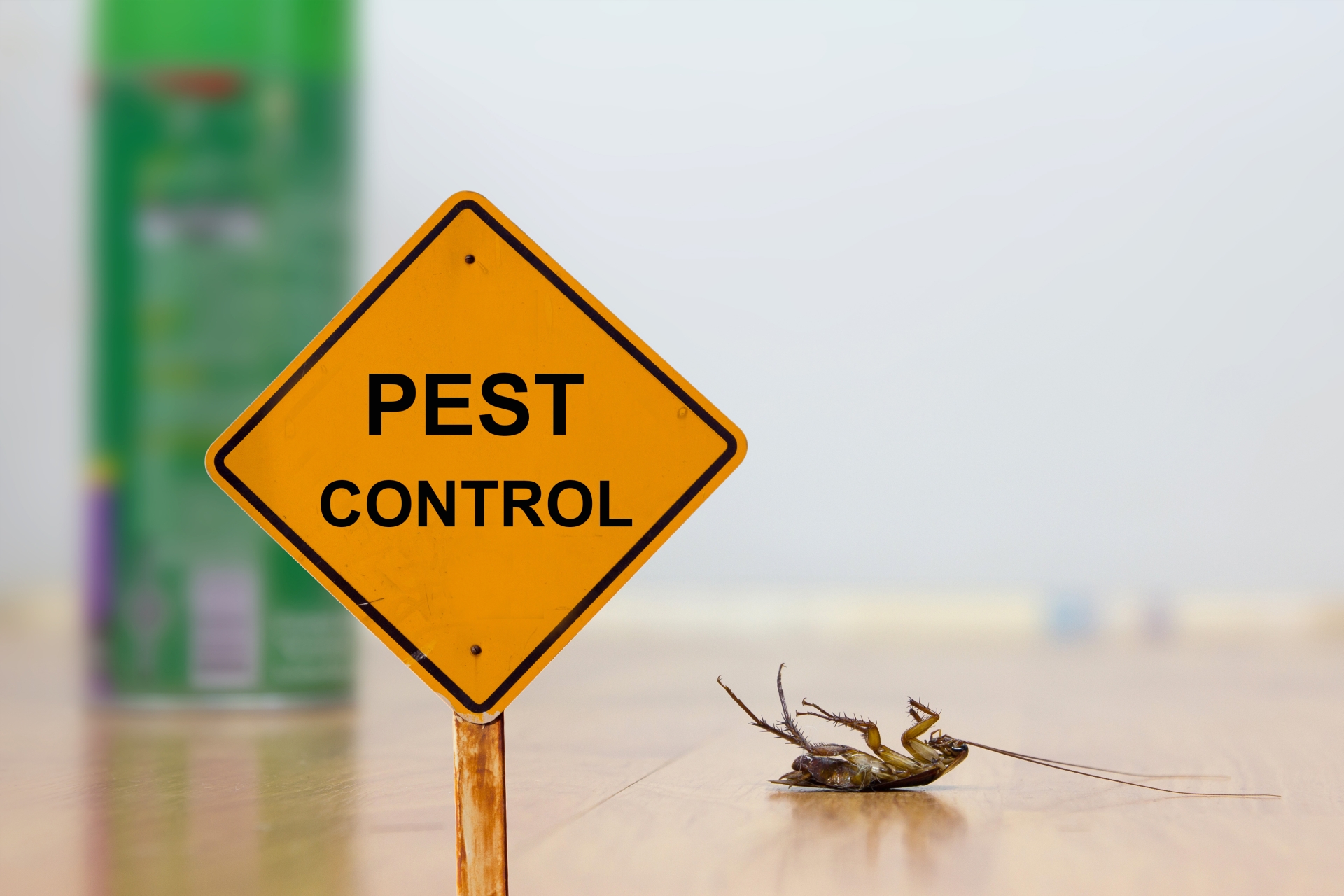 24 Hour Pest Control, Pest Control in Crouch End, N8. Call Now 020 8166 9746