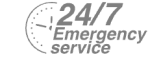 24/7 Emergency Service Pest Control in Crouch End, N8. Call Now! 020 8166 9746